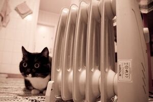 КМУ: Потребители будут платить каждый месяц за фактически потребленные услуги