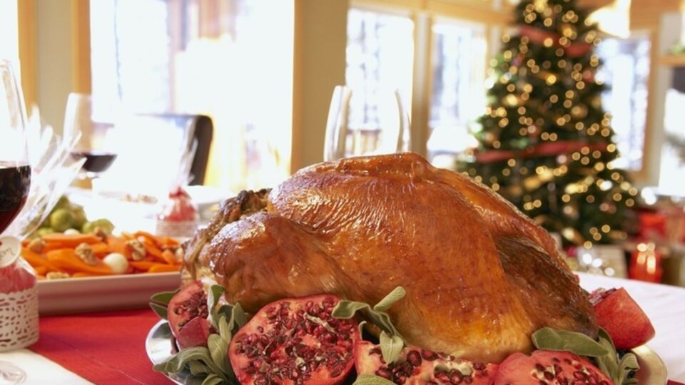 Выбор пал на индейку, поскольку именно страхи вокруг приготовления этого блюда наиболее распространены среди британцев накануне Рождества