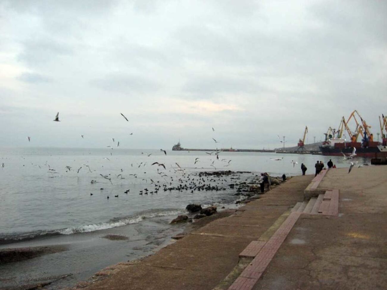 "Глава администрации" Феодосии и его зам требовали от предпринимателя взятку $300 тыс.