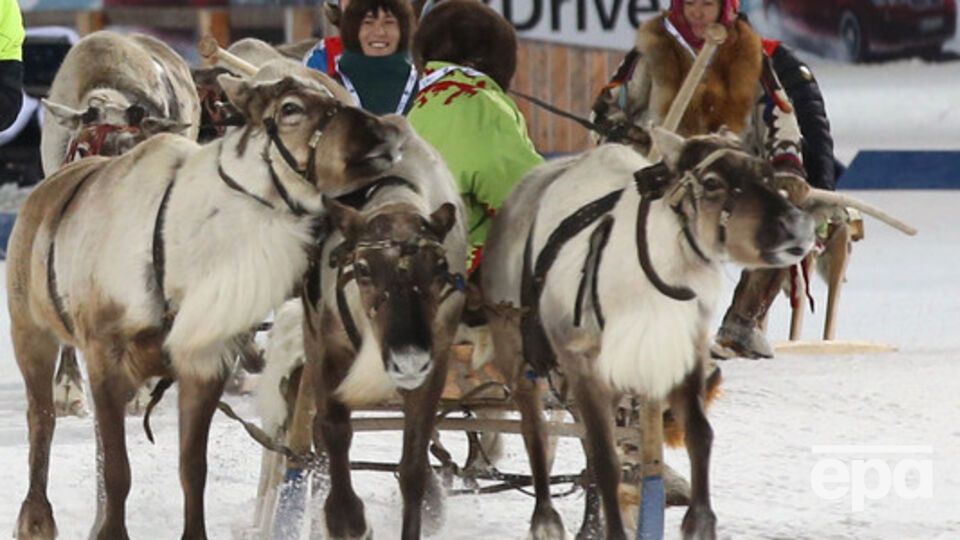 Оленеводы убили в перестрелке двух сотрудников "Газпрома"