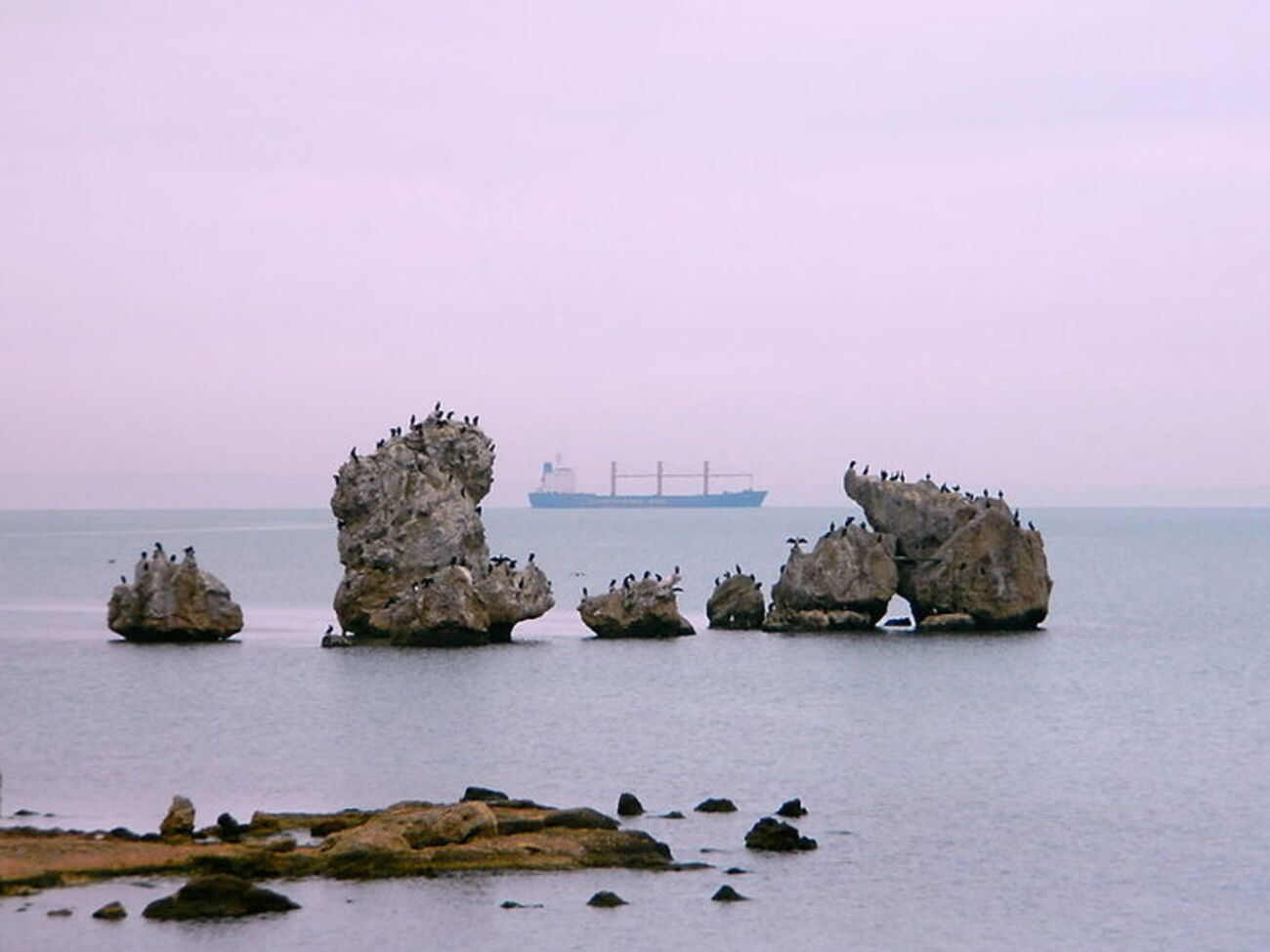 Ранее "Таманский" базировался в Керчи