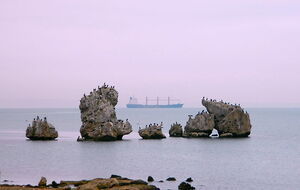 Ранее "Таманский" базировался в Керчи