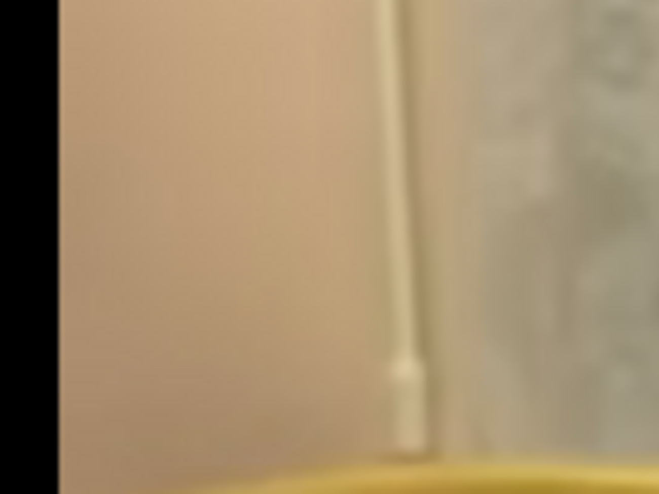 По словам пресс-секретаря партии,&nbsp;Корбан находился в полусознательном состоянии