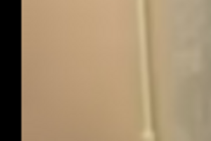 По словам пресс-секретаря партии, Корбан находился в полусознательном состоянии