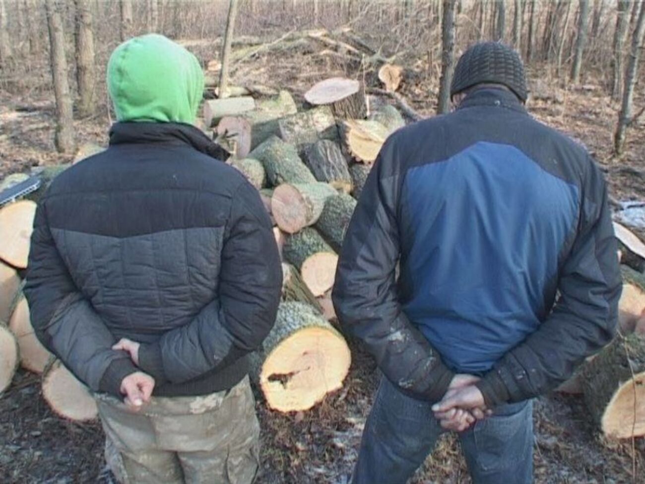 Задержанные вырубали защитные лесные насаждения в зоне отвода Приднепровской железной дороги