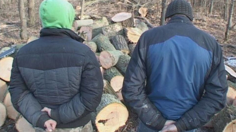 Задержанные вырубали защитные лесные насаждения в зоне отвода Приднепровской железной дороги