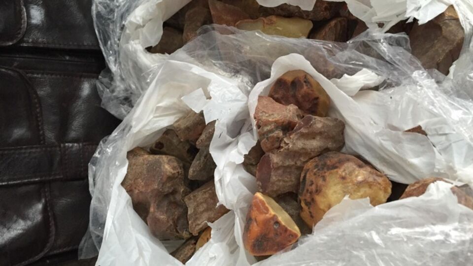 Контрабандный янтарь был спрятан в багаже гражданина Китая