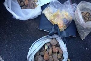 Стоимость изъятого янтаря составляет более 75 тыс. грн