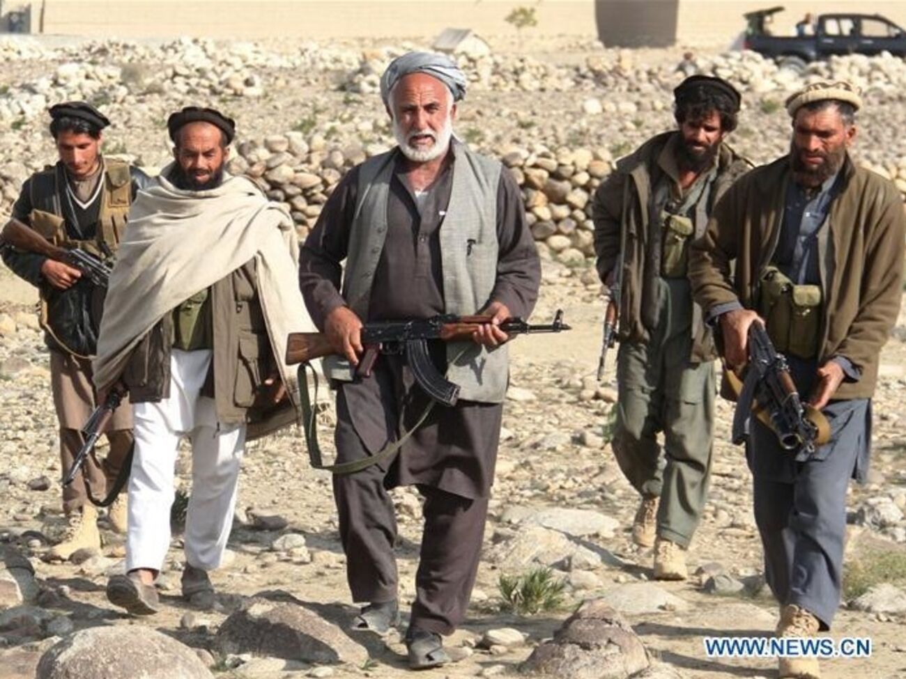 Проправительственные силы, принимающие участие в АТО в Афганистане
