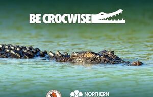 Местные власти на севере Австралии просят соблюдать "крокодилоосторожность"