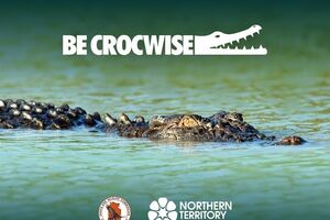 Местные власти на севере Австралии просят соблюдать "крокодилоосторожность"