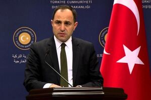 Танжу Билгич: Россия ведет против Турции черную пропаганду