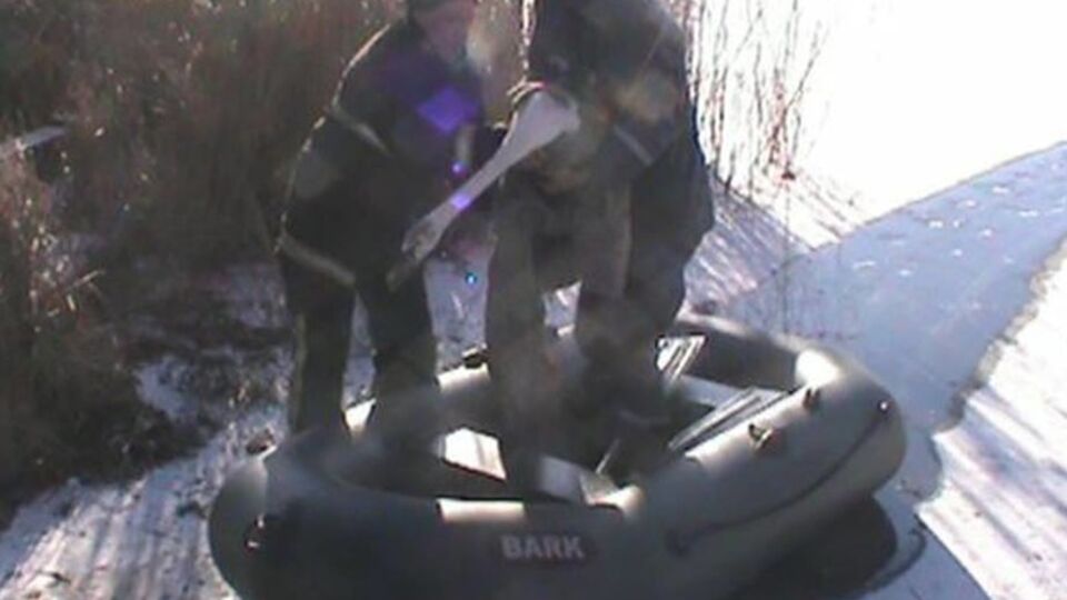 Спасенного лебедя передали местным жителям