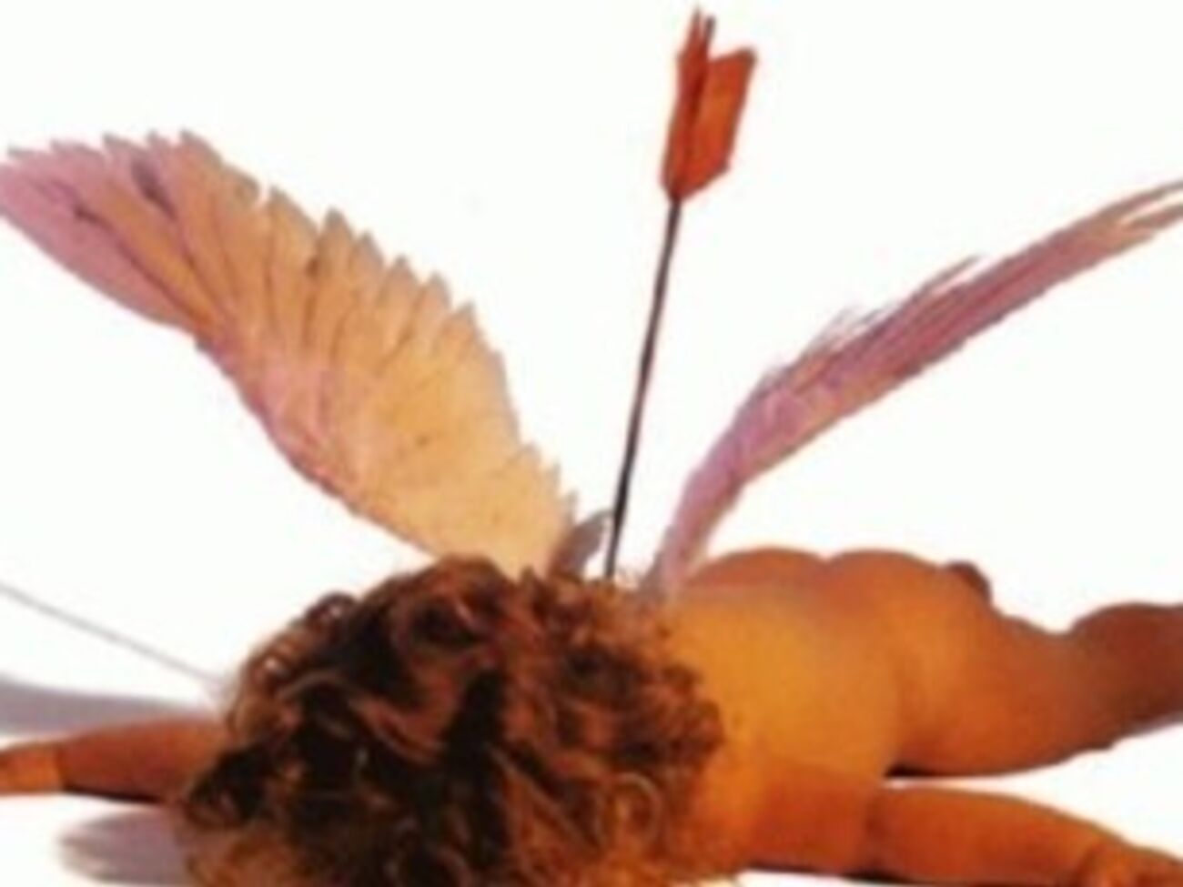 Порошенко: Бумажный занавес, разделявший нас с Европой, упадет