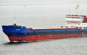 Сухогруз "Амур-36" сел на мель в 500 м от берега