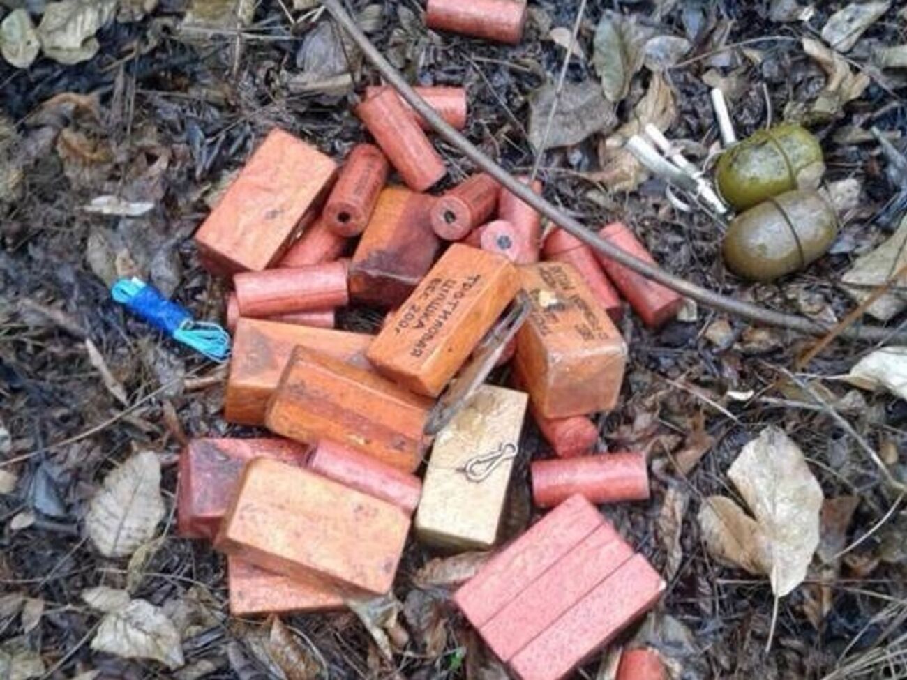 В шашках содержалось 5 кг тротила