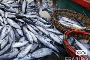 Рыбную продукцию теперь можно завозить в Россию через Литву только транзитом