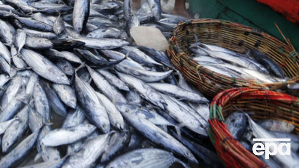 Рыбную продукцию теперь можно завозить в Россию через Литву только транзитом