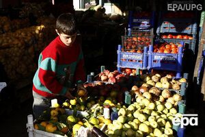 Из Сирии в РФ отправляется первое судно с фруктами взамен турецких