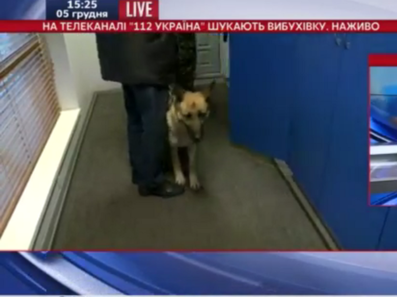 В помещении телеканала работают кинологи и взрывотехники