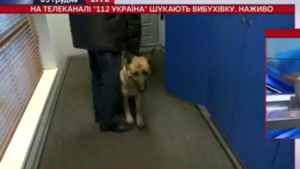 В помещении телеканала работают кинологи и взрывотехники