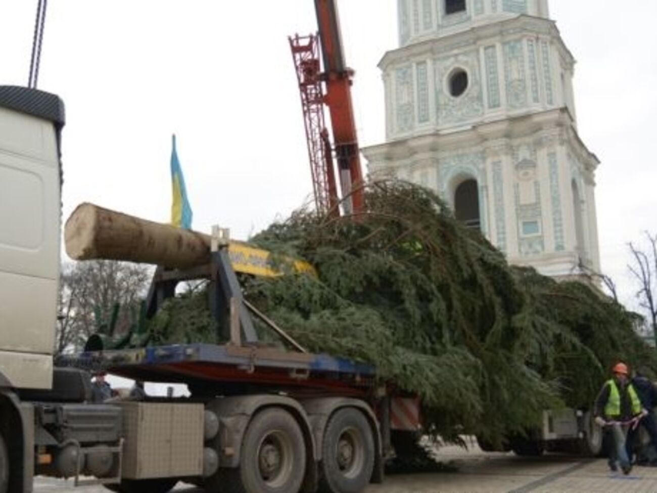 Главная елка страны на метр выше прошлогодней