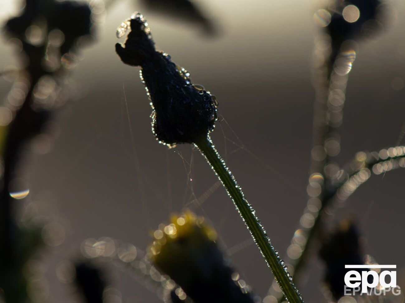 Теплая погода пока сохранится