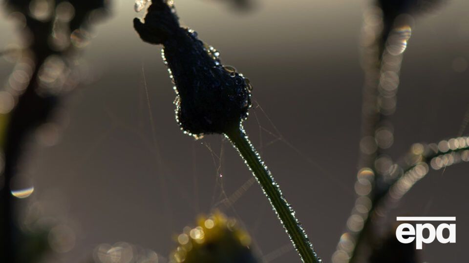 Теплая погода пока сохранится