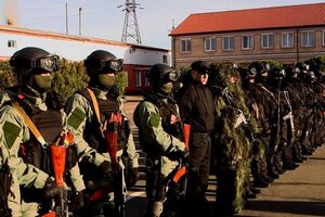 Саакашвили: Это уже не частная армия олигарха, а хорошо подготовленный кулак украинского государства