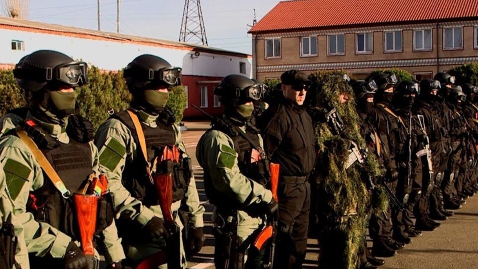 Саакашвили: Это уже не частная армия олигарха, а хорошо подготовленный кулак украинского государства