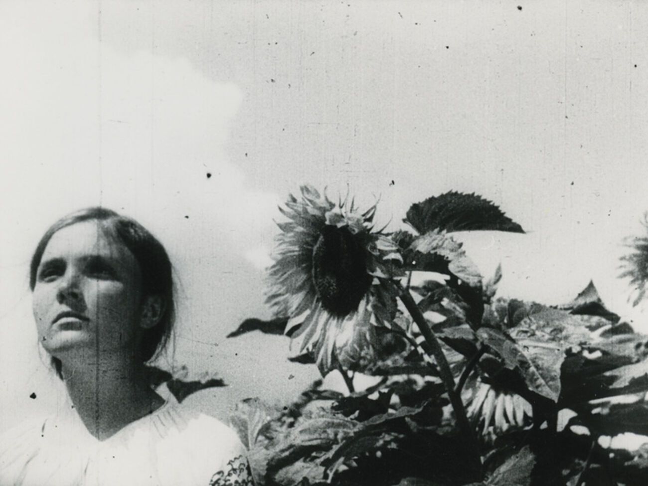 Фильм Довженко представят на фестивале мировых шедевров