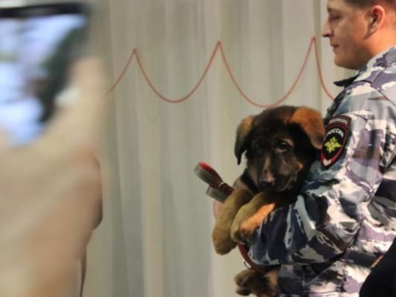 РФ подарила французской полиции щенка немецкой овчарки