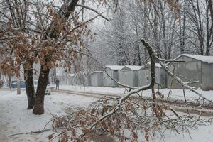 Снегопад 1–4 декабря привел к падению деревьев, обрыву проводов и разрушению электроопор в Харьковской области