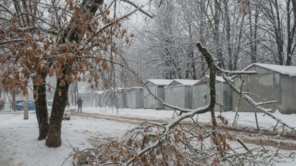 Снегопад 1–4 декабря привел к падению деревьев, обрыву проводов и разрушению электроопор в Харьковской области