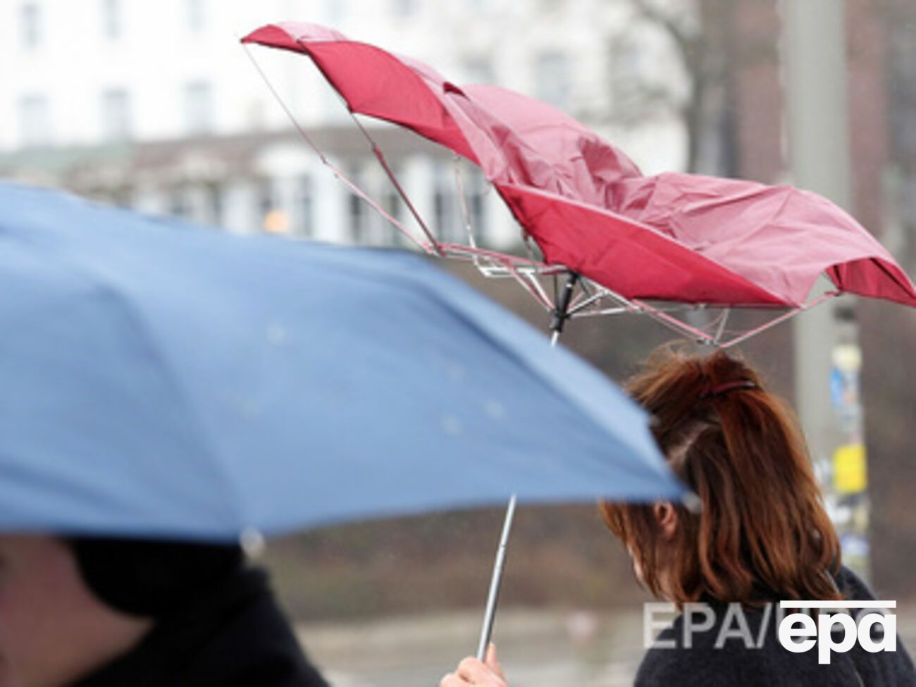 Погода будет влажной, но теплой