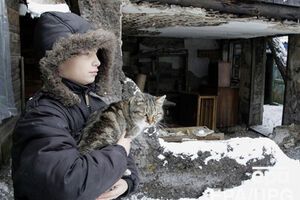 Боевики обстреливают мирные населенные пункты