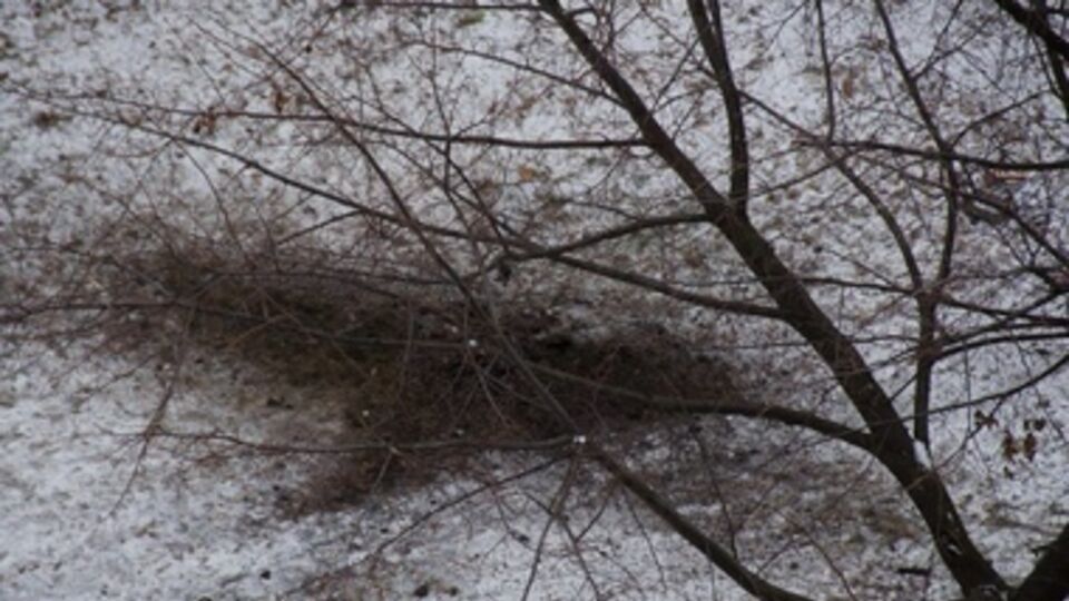 Краматорск был обстрелян сегодня около 12.30