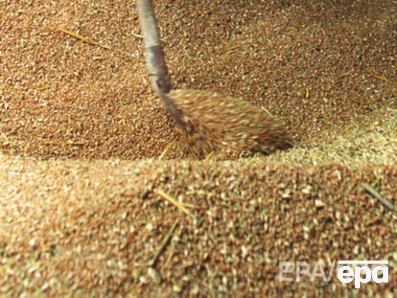 Непосредственно в аграрных предприятиях на 1 февраля хранилось 12,3 млн тонн зерна