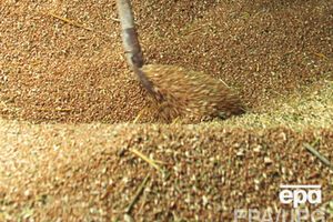 Непосредственно в аграрных предприятиях на 1 февраля хранилось 12,3 млн тонн зерна