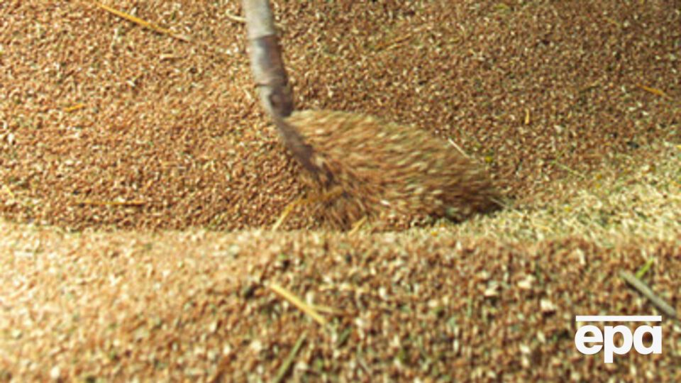 Непосредственно в аграрных предприятиях на 1 февраля хранилось 12,3 млн тонн зерна