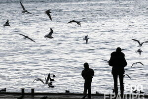 Синоптики ожидают шторм и снегопады