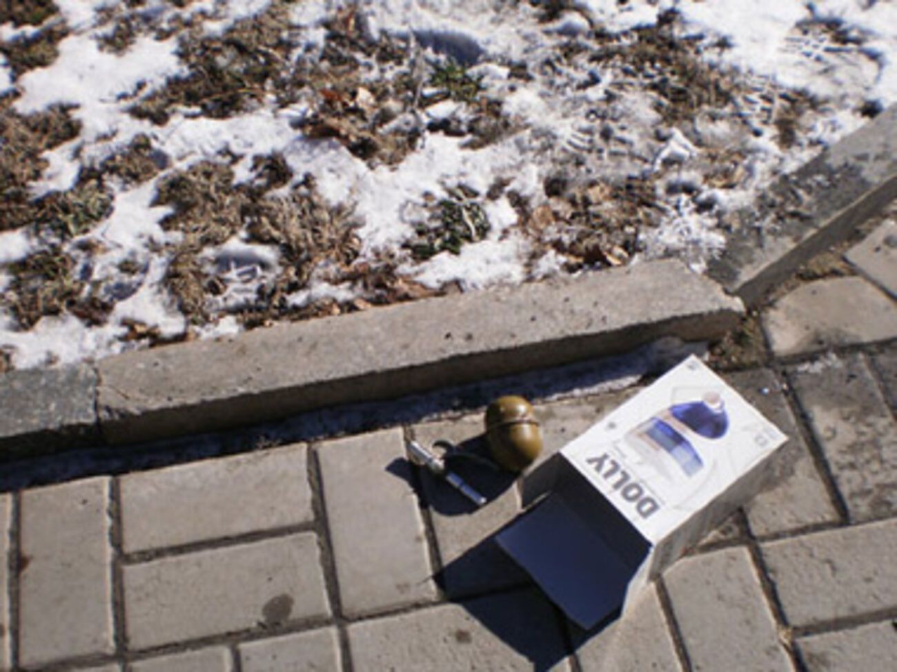 МВД: Гранату обнаружил дворник, убиравший территорию