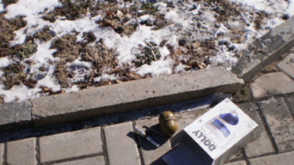 МВД: Гранату обнаружил дворник, убиравший территорию