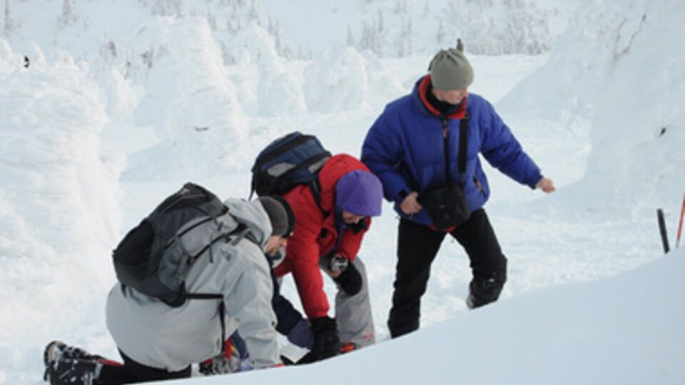 МЧС: Сноубордисты спровоцировали сход снега на горных склонах в Закарпатье