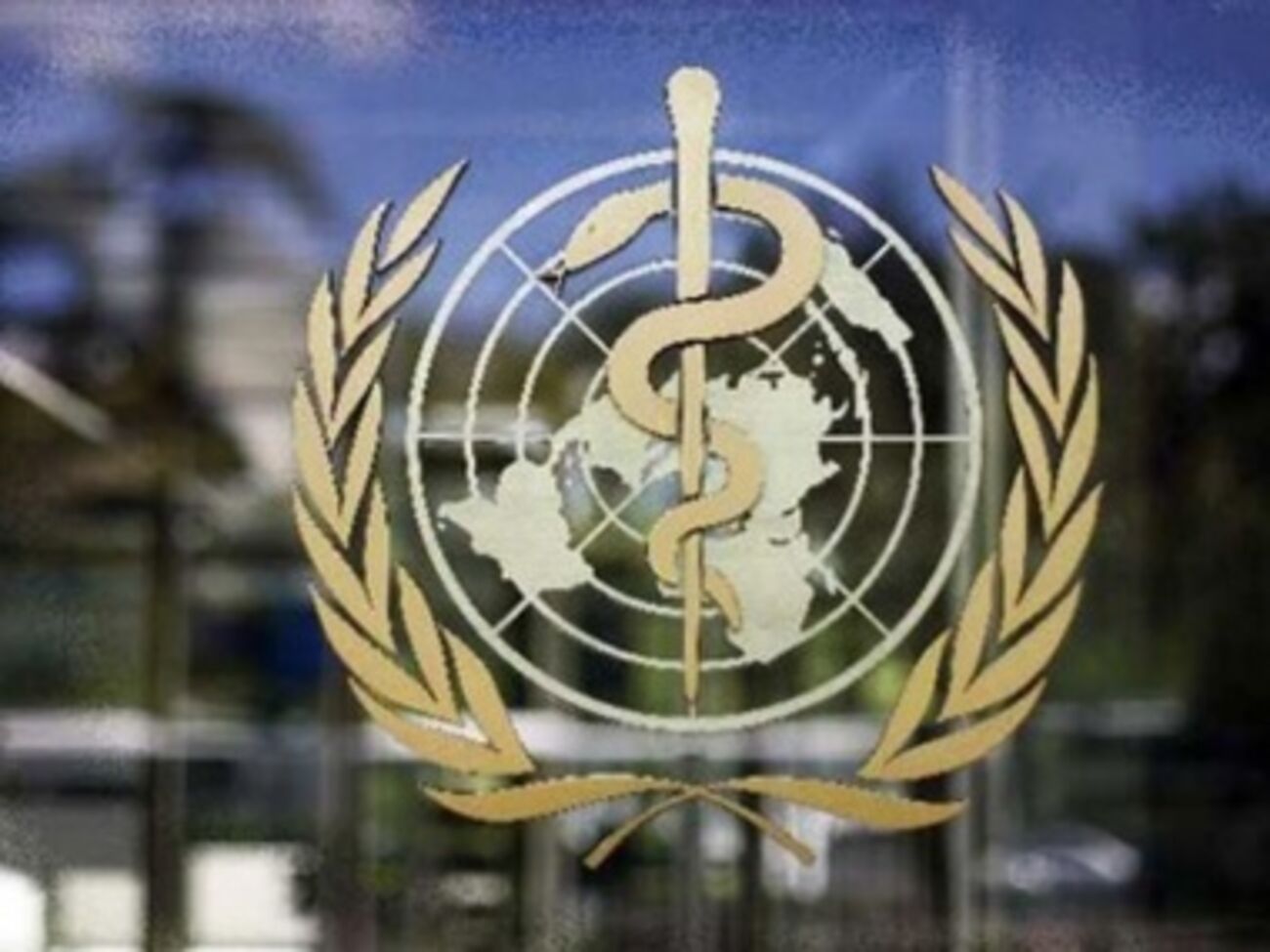 Медицинский груз от ВОЗ&nbsp;позволит оказать помощь 50 тыс. человек