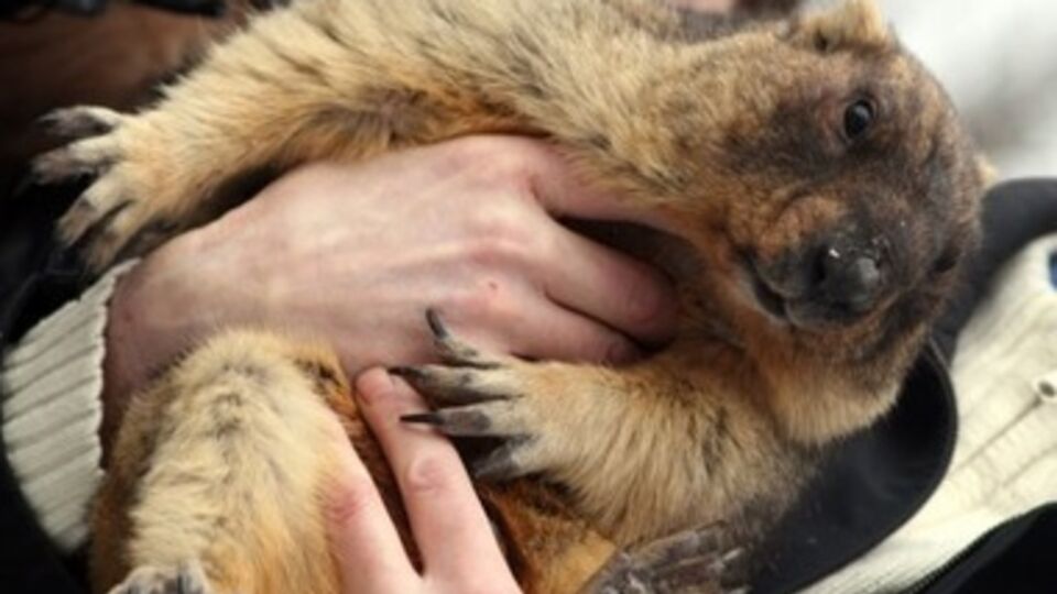 Тимка не смог увидеть свою тень