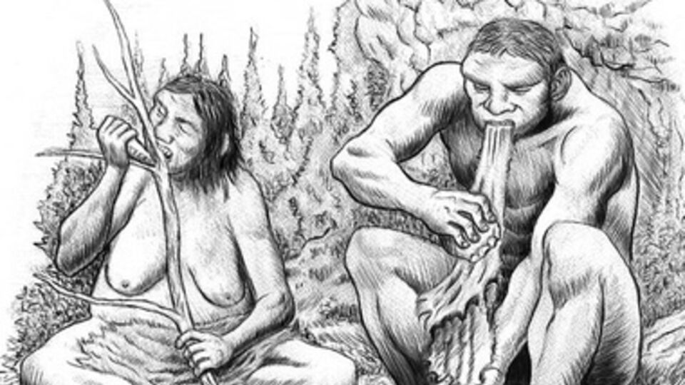 Неандертальцы за работой