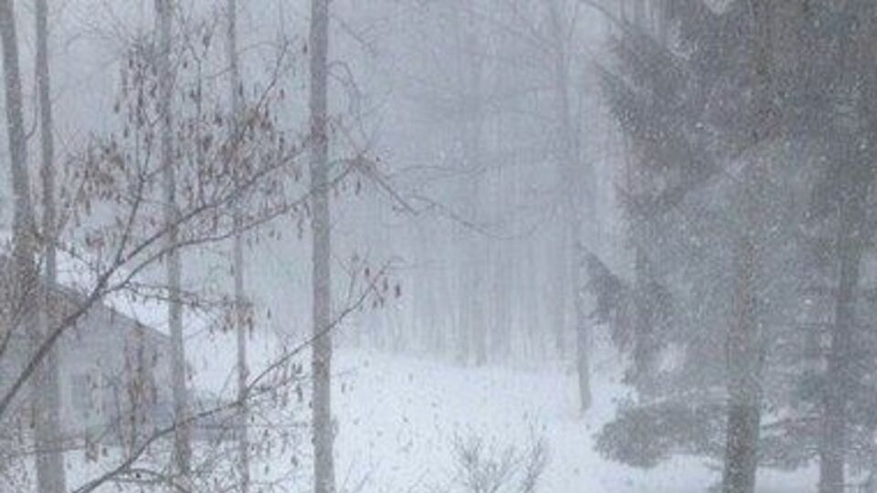 В части областей Украины будет снег с дождем