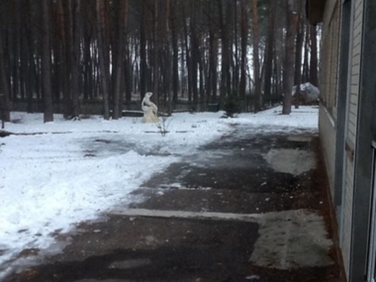 Одарич: Намерение злоумышленников было --- запугать
