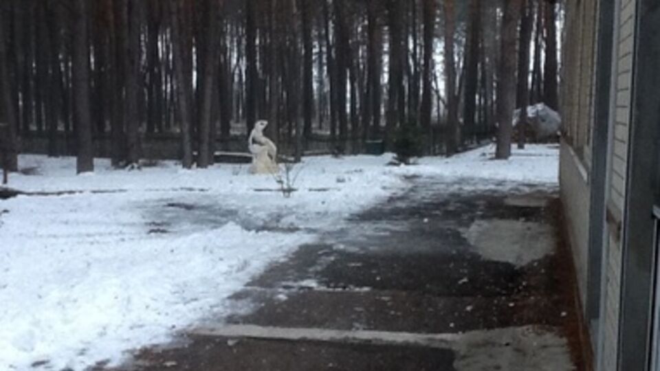 Одарич: Намерение злоумышленников было --- запугать